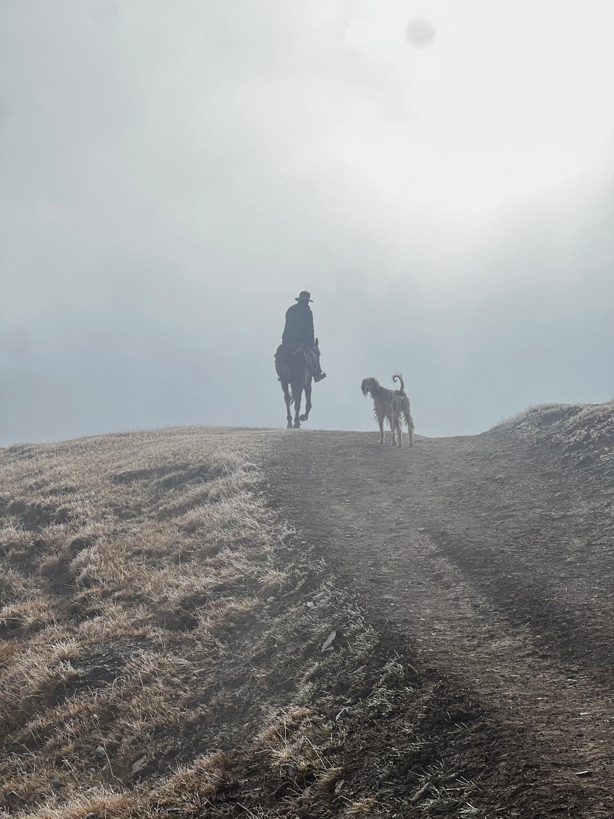 A horse rider and dog on a ridge in the mist
