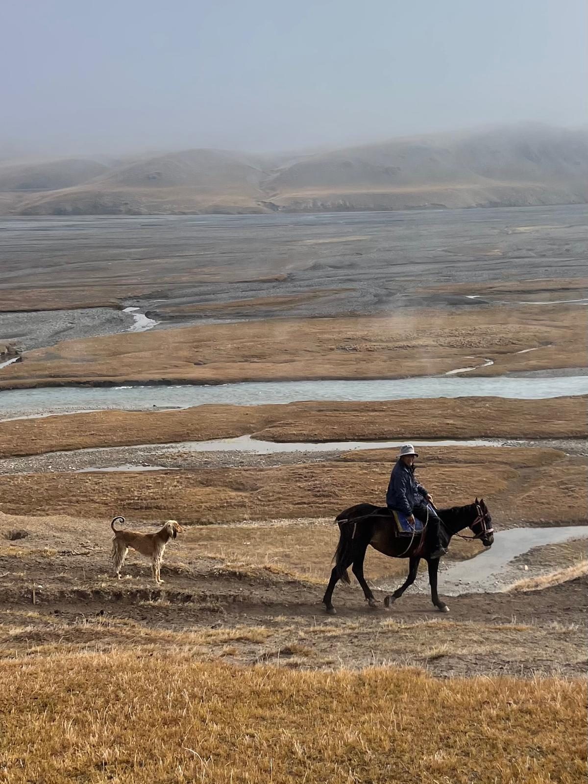 A horse rider and dog crossing the misty Kyrgyz highlands
