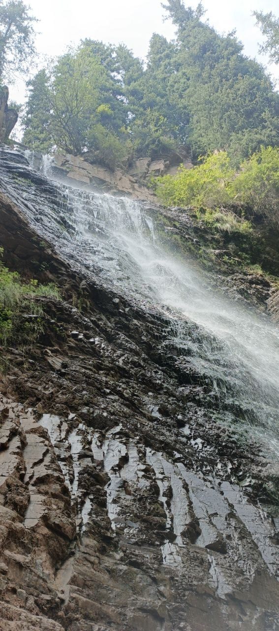 A waterfall dropping through a forested gorge