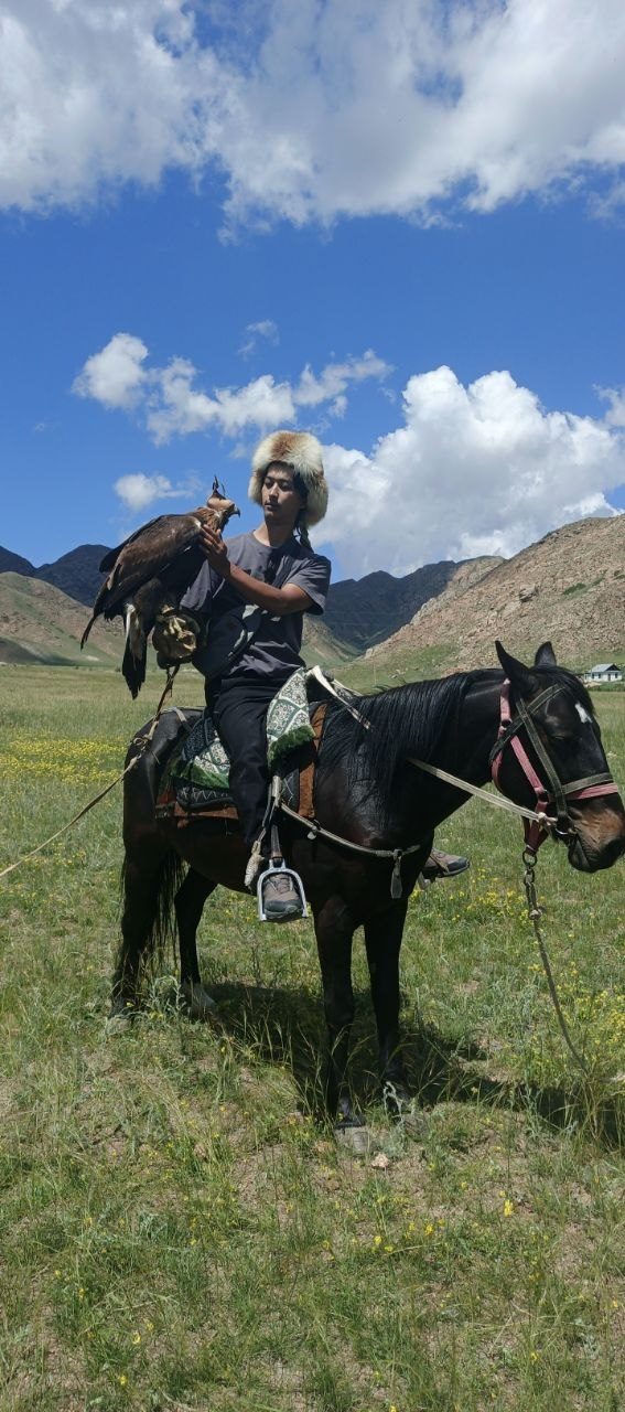 A local eagle hunter holding a golden eagle on horseback